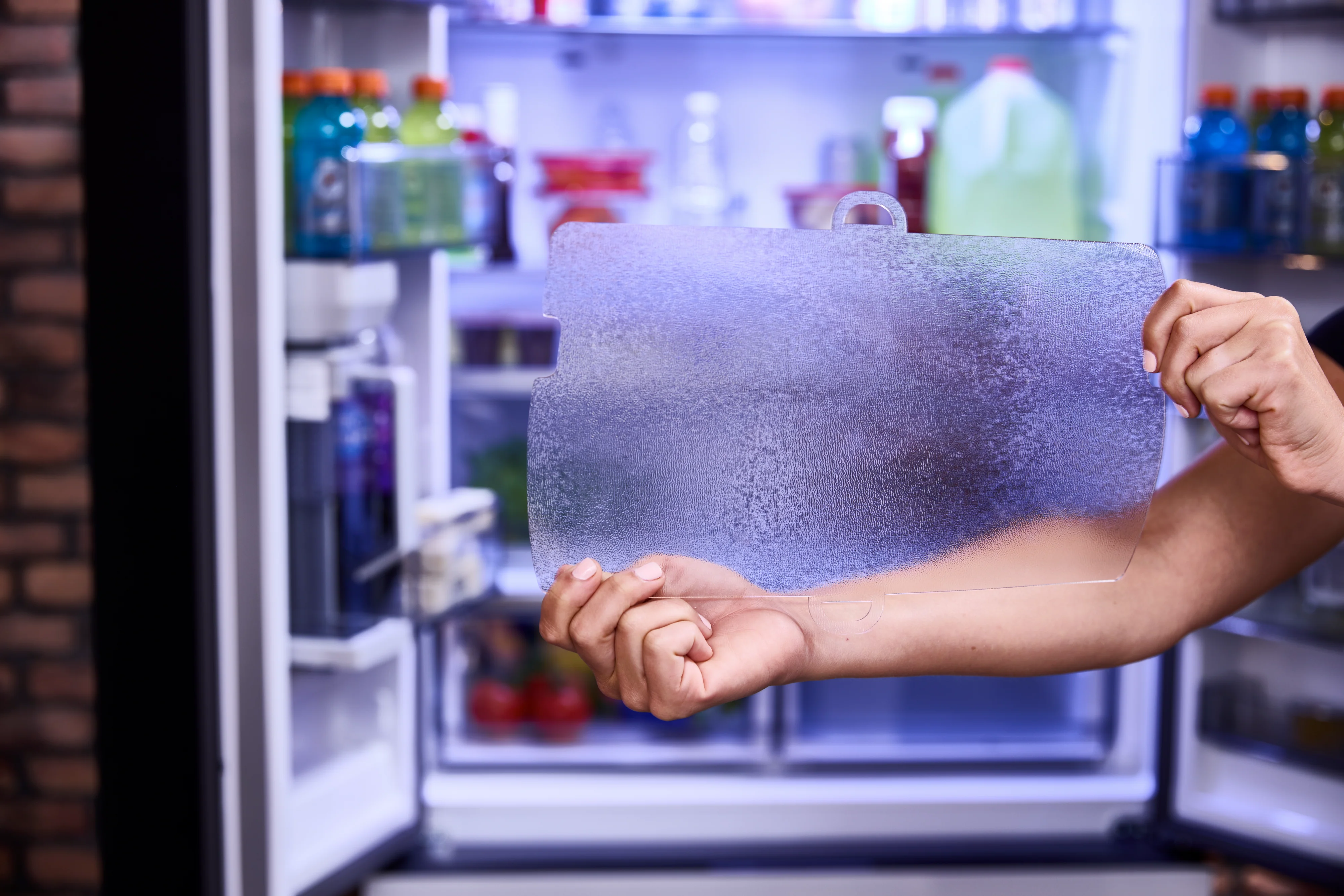 Samsung FridgeGuard #2010 - Image 5